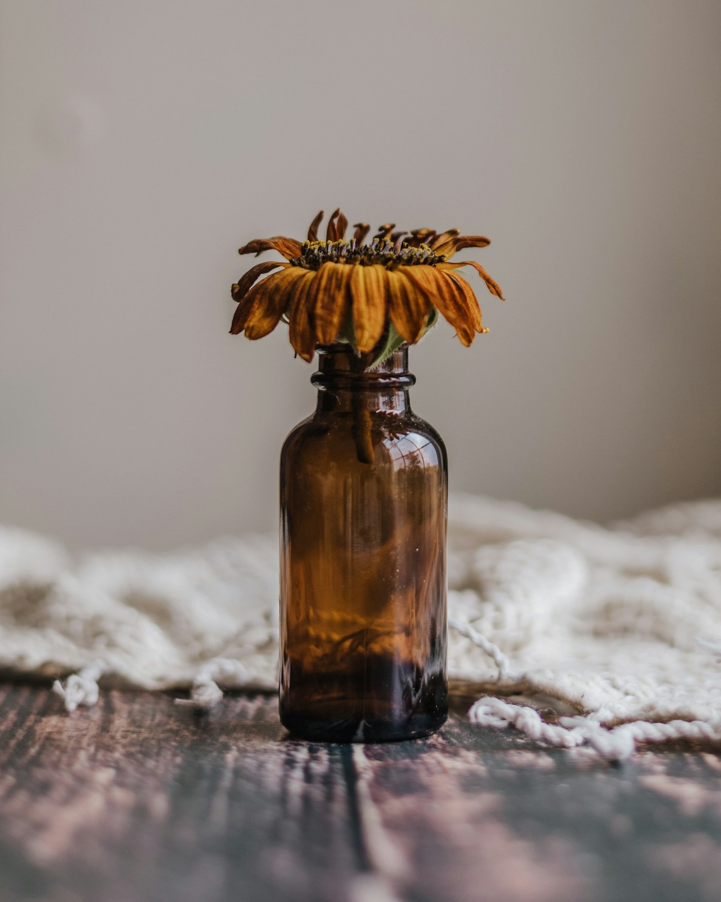 Why Natural Oils Offer A Superior Experience
